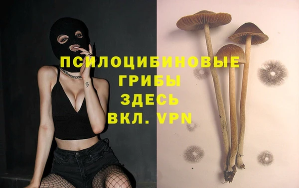 мдма Верхний Тагил