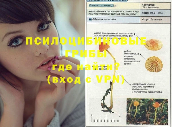 стафф Семёнов