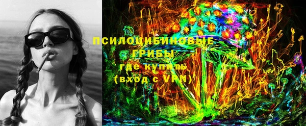 СК Семилуки